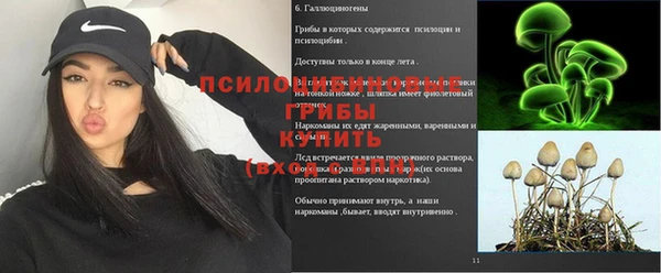 эйфоретик Армянск