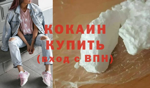 стафф Арсеньев
