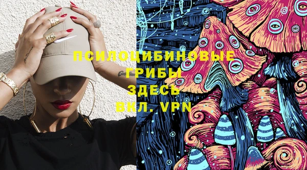 стафф Арсеньев